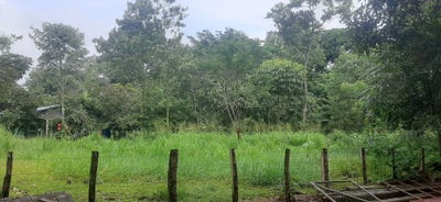 /international/pa/el-paraiso-las-lajas-chiriqui-las-lajas-chiriqui-las-lajas-chiriqui-310103248927/