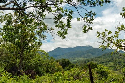 /international/pa/flat-land-in-boquete-caldera-boquete-chiriqui-310108837036/