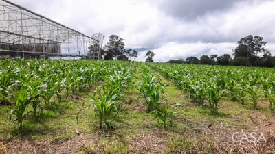 /international/pa/potrerillos-arriba-potrerillos-arriba-chiriqui-310106163425/