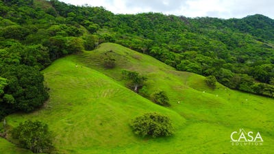 /international/pa/cambutal-cambutal-los-santos-province-310106419335/