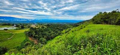 /international/pa/rovira-dolega-potrerillo-dolega-potrerillo-chiriqui-dolega-potrerillo-chiriqui-310102490675/