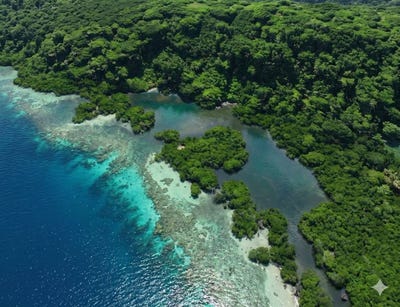 /international/pa/bocas-del-toro-bocas-del-toro-bocas-del-toro-province-310098474096/