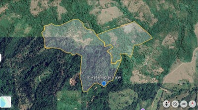 /international/pa/puerto-armuelles-chiriqui-chiriqui-310108183153/