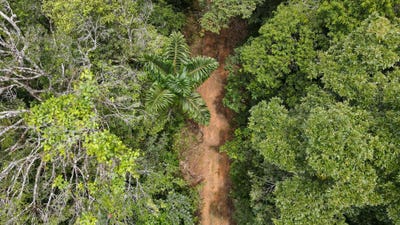 /international/pa/cerro-azul-cerro-jefe-pacora-panama-panama-city-310107790470/