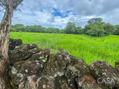 /international/pa/alto-boquete-alto-boquete-chiriqui-310106394626/