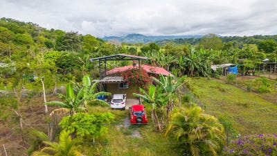 /international/pa/palma-real-rovira-dolega-chiriqui-310103035016/