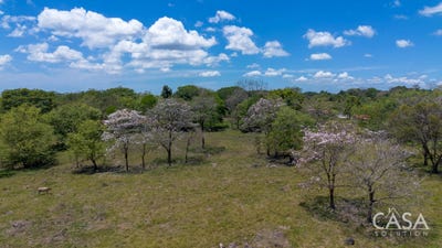 /international/pa/via-san-pablo-viejo-san-pablo-viejo-chiriqui-310107323914/