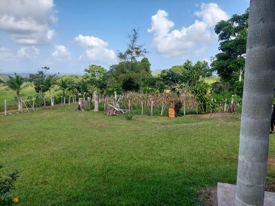 /international/pa/la-chorrera-panama-oeste-panama-province-310098386473/
