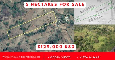 /international/pa/el-ciruelo-el-ciruelo-los-santos-province-310106404213/