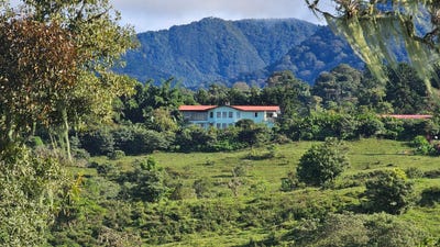 /international/pa/boqueron-cordillera-arriba-boqueron-chiriqui-310100930295/?lang=zh-tw