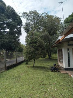 /international/pa/altos-de-san-vicente-puerto-armuelles-chiriqui-puerto-armuelles-chiriqui-310108315960/