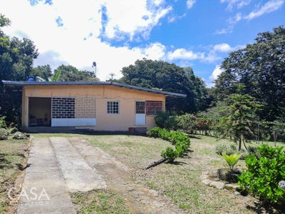 /international/pa/palmira-chiriqui-palmira-chiriqui-310107062750/