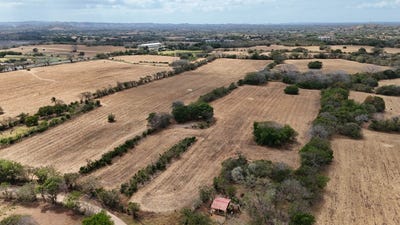 /international/pa/loma-larga-de-los-santos-los-santos-los-angeles-los-santos-los-santos-los-angeles-los-santos-province-310106612693/