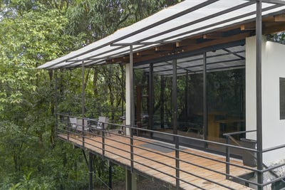 /international/pa/torio-torio-veraguas-310104247973/