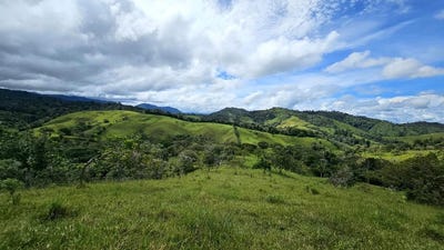 /international/pa/renacimiento-santa-clara-chiriqui-renacimiento-rio-sereno-chiriqui-renacimiento-rio-sereno-chiriqui-120089781304/
