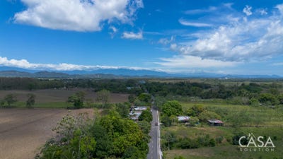 /international/pa/san-pablo-viejo-san-pablo-viejo-chiriqui-310105375109/