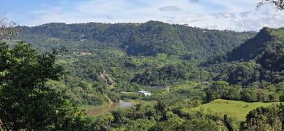 /international/pa/caizan-renacimiento-renacimiento-caizan-chiriqui-renacimiento-caizan-chiriqui-310100938754/?lang=es