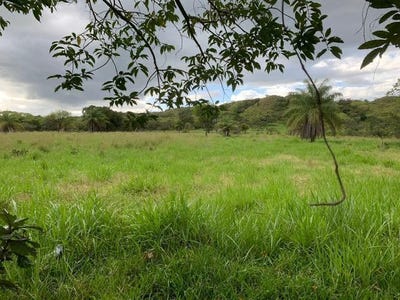 /international/pa/mariato-district-mariato-district-veraguas-province-310103448064/