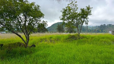 /international/pa/bugaba-chiriqui-310108892330/