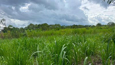 /international/pa/balita-de-tinajas-dolega-dolega-tinajas-chiriqui-dolega-tinajas-chiriqui-310108648338/