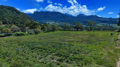 /international/pa/cordillera-boqueron-boqueron-cordillera-chiriqui-boqueron-cordillera-chiriqui-310107300442/