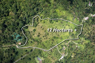 /international/pa/chiriqui-boquete-los-naranjos-la-horqueta-boquete-chiriqui-310108810281/