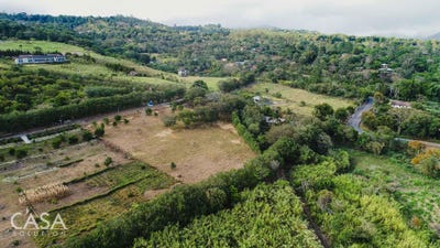 /international/pa/palmira-chiriqui-palmira-chiriqui-310097168404/