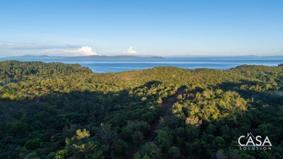 /international/pa/torio-torio-veraguas-310106401288/