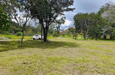 /international/pa/palmira-boquete-boquete-chiriqui-310101247283/?lang=en