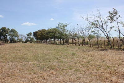 /international/pa/llano-sanchez-el-chiru-unit-terreno-anton-cocle-310101531210/?lang=es