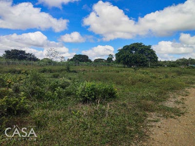 /international/pa/dolega-district-dolega-district-chiriqui-310100931918/?lang=zh-tw