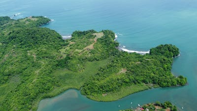 /international/pa/torio-veraguas-veraguas-310099945068/