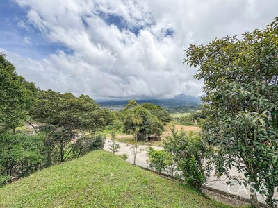 /international/pa/jaramillo-jaramillo-chiriqui-310101204342/?lang=zh-cn