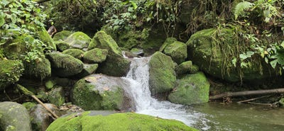 /international/pa/entrando-por-la-via-los-naranjos-volcan-en-direccion-hacia-cordillera-arriba-boqueron-cordillera-chiriqui-boqueron-cordillera-chiriqui-310101155733/?lang=it
