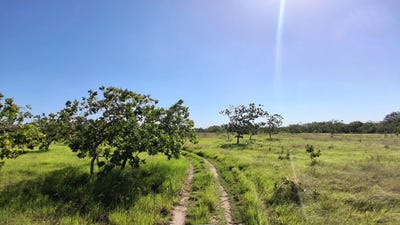 /international/pa/terreno-de-43hectareas-en-el-espino-anton-anton-cocle-310107580070/