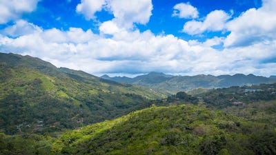 /international/pa/ventorrillo-cocle-penonome-cocle-310107248674/