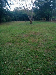 /international/pa/potrerillo-abajo-unit-terreno-dolega-chiriqui-310107620191/