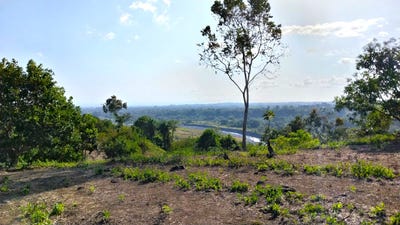 /international/pa/la-meseta-de-boqueron-boqueron-chiriqui-boqueron-chiriqui-310106140418/