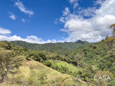 /international/pa/gualaca-district-gualaca-district-chiriqui-310107062404/