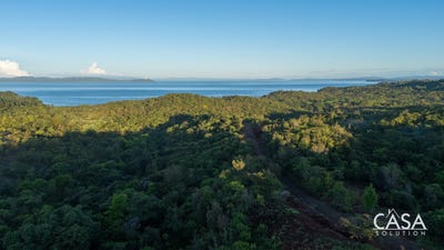 /international/pa/torio-torio-veraguas-310106398400/