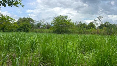 /international/pa/dolega-chiriqui-310108669326/