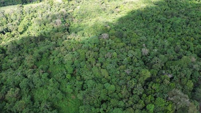 /international/pa/potrerillos-arriba-potrerillos-arriba-chiriqui-310108808747/