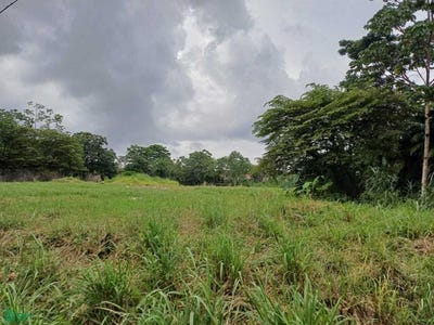 /international/pa/lote-de-terreno-en-venta-coronado-panama-bahia-serena-uno-rm-entrando-por-calle-calamar-coronado-chame-panama-chame-panama-city-310103014670/
