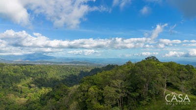 /international/pa/cochea-cochea-chiriqui-310105243808/