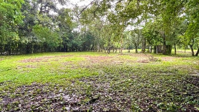 /international/pa/lote-de-terreno-en-caldera-boquete-boquete-chiriqui-310100930307/?lang=zh-tw