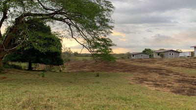 /international/pa/david-montilla-david-chiriqui-310100636446/