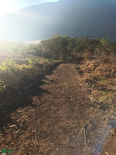 /international/pe/huancabamba-sector-lanturachi-palcamayo-sn-oxapampa-oxapampa-pasco-oxapampa-pasco-310107563322/