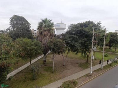 /international/pe/los-olivos-mz-f-lote-30-los-olivos-lima-lima-lima-lima-district-310101084070/?lang=es