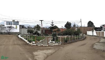 /international/pe/calle-san-carlos-mz-g-22-pachacamac-lima-lima-lima-lima-district-310101174655/?lang=es
