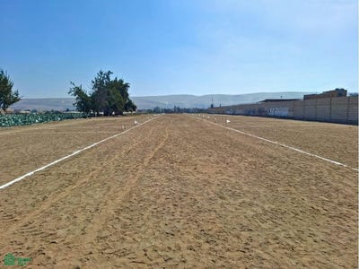 /international/pe/av-manuel-odria-sector-copare-tacna-tacna-tacna-tacna-tacna-tacna-310101229194/?lang=es